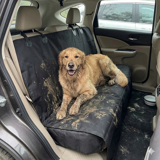 CleanRide™ Dog Cover
